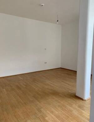 Helle Wintergartenwohnung als Büro im Herzen der Altstadt – 93047 Regensburg – Vorschaubild 2