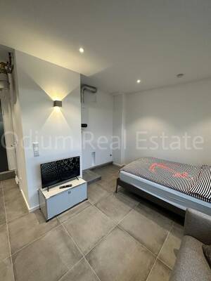 Über den Dächern Mannheims - charmantes 1-Zimmer-Apartment mit traumhafter Dachterrasse – 68165 Mannheim – Vorschaubild 2