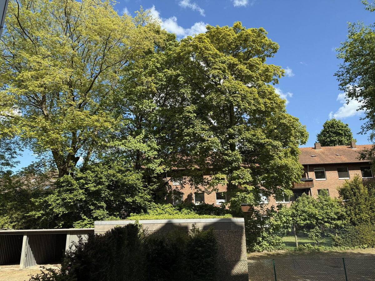 Luxuswohnung ,Hochparterre, mitten im Kreuzviertel – 48149 Münster – Bild 1 von 9