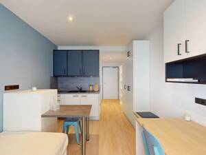 1 Monat mietfrei! Clever geschnittenes 1-Zimmer-Apartment in bester Lage – 65197 Wiesbaden – Vorschaubild 6