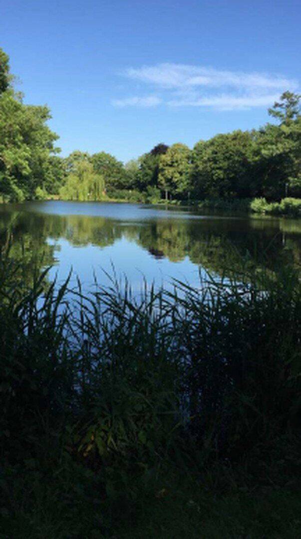 Einzigartiges Wohnensemble am See: Jugendstilvilla, 3-Zimmer-Einliegerwohnung & Wintergarten-Oase – Glückstadt – Vorschaubild 3