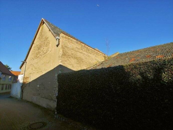 Kleines Mehrfamilienhaus, viele Möglichkeiten – Bubenheim – Vorschaubild 5