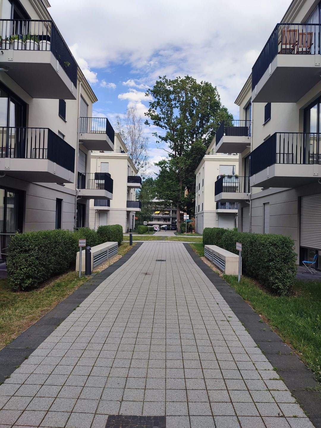 Traumhafte 2-Raumwohnung zur Miete in Potsdam Waldstadt 2 - Wentzel Dr. -