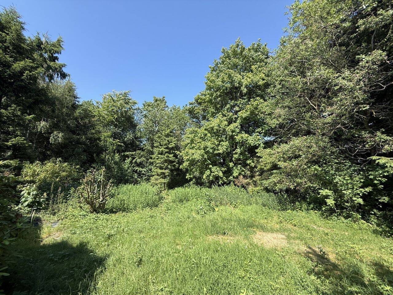Großzügiges Wohnhaus mit ELW und schönem Grundstück in ruhiger Lage von Lammersdorf – Simmerath – Vorschaubild 5