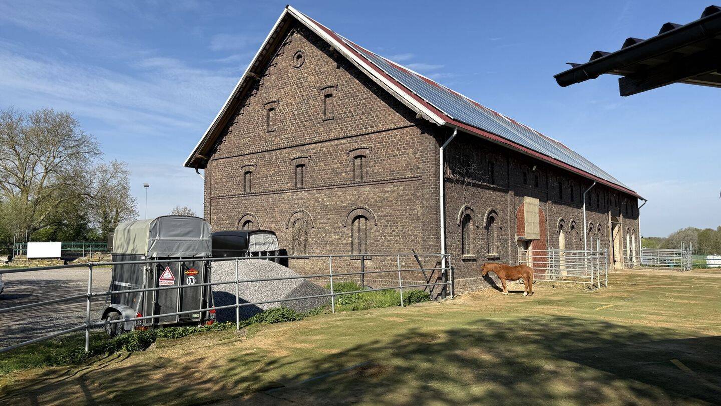 Reitanlage mit 60er Halle auf 5 ha zu verkaufen – Hamm – Vorschaubild 9