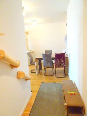 Wunderschöne 2 Zimmer Wohnung mit großzügiger Terrasse – 13055 Berlin – Vorschaubild 3