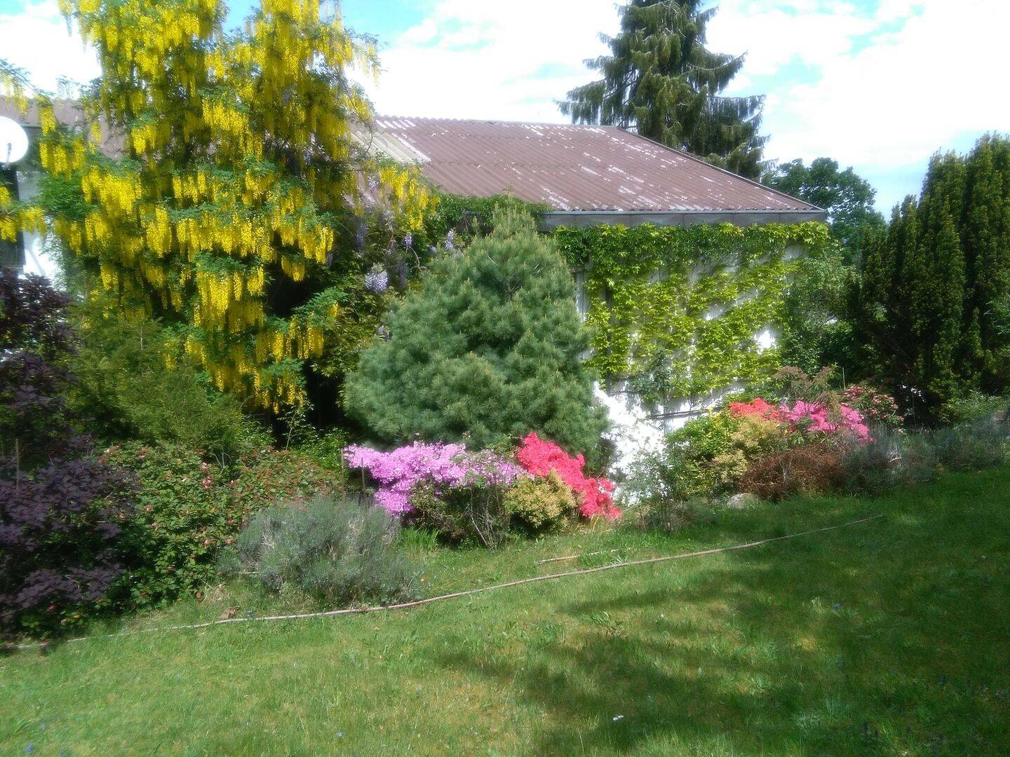 Einfamilienhaus mit Traumblick, großem Grundstück und Potenzial zur Neugestaltung – Engelsbrand – Vorschaubild 8