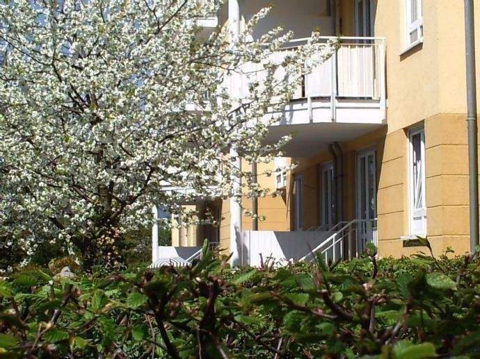 Bereits vermietet: Kleine 2 Zimmer-Wohnung. Kochnische. Balkon. Tiefgaragen-Stellplatz – Dresden – Vorschaubild 9