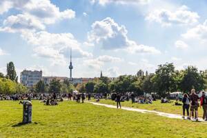 Provisionsfrei & Vermietet: ruhige Citybasis für urbane Lebensstile – 10409 Berlin – Vorschaubild 8