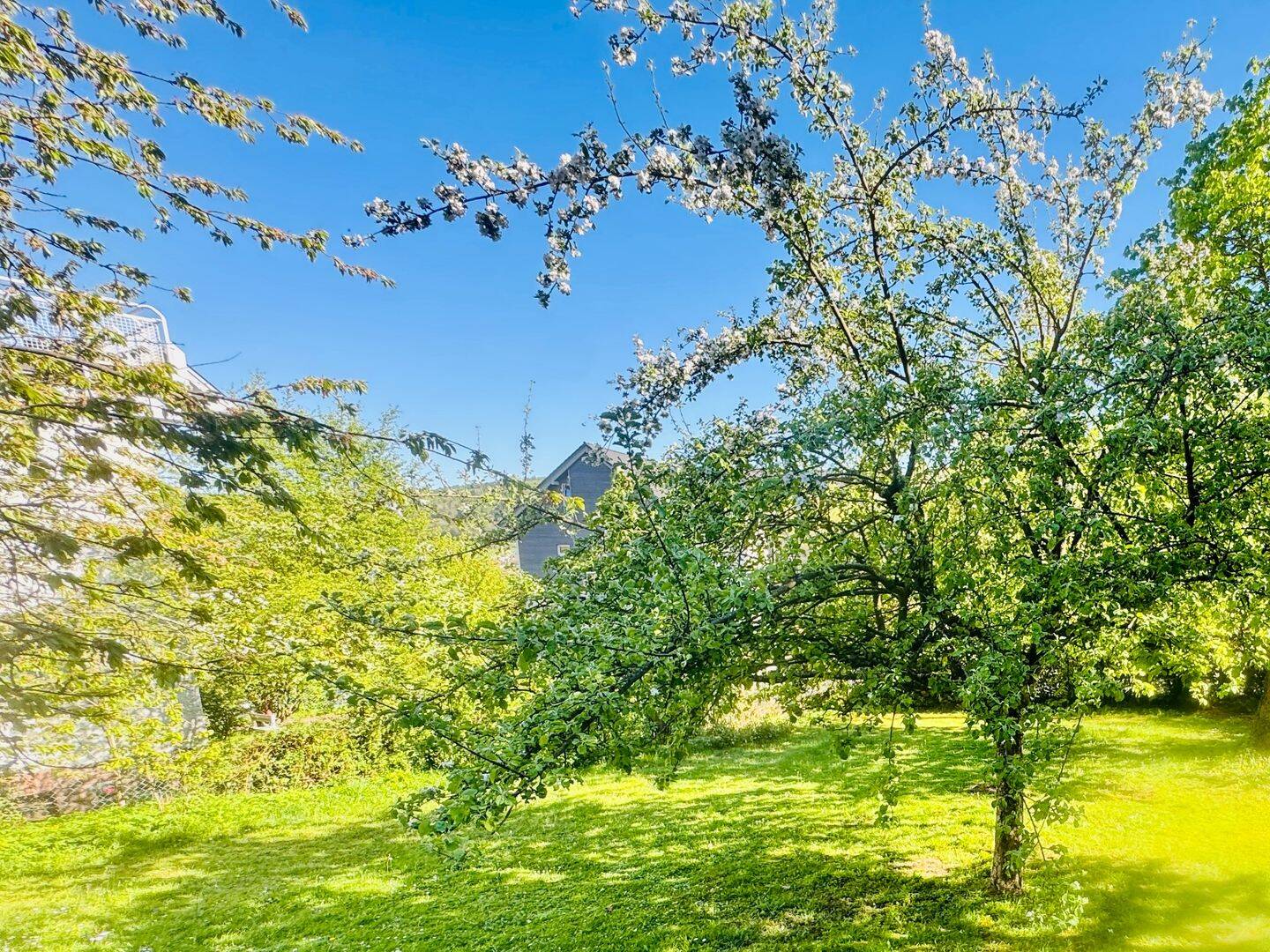Einfamilienhaus mit potentiellem Baugrundstück! – Schlüchtern – Vorschaubild 5