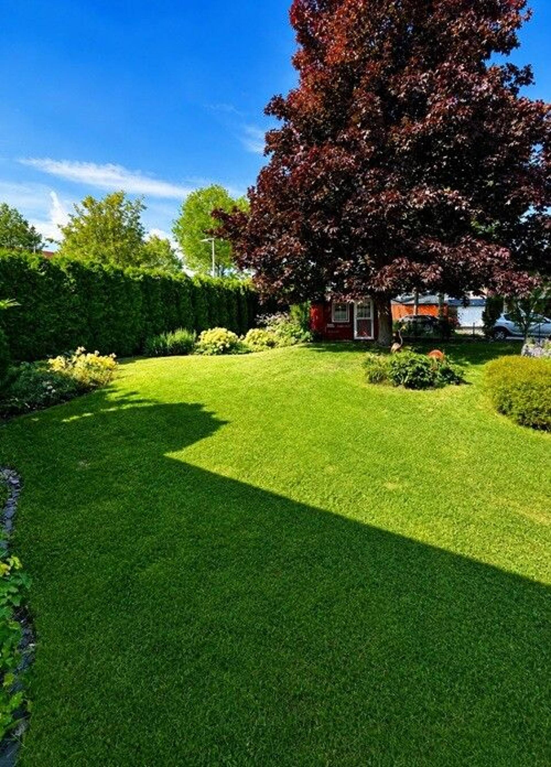 Einfamilienhaus in 38642 Goslar mit 173,34 m² kaufen