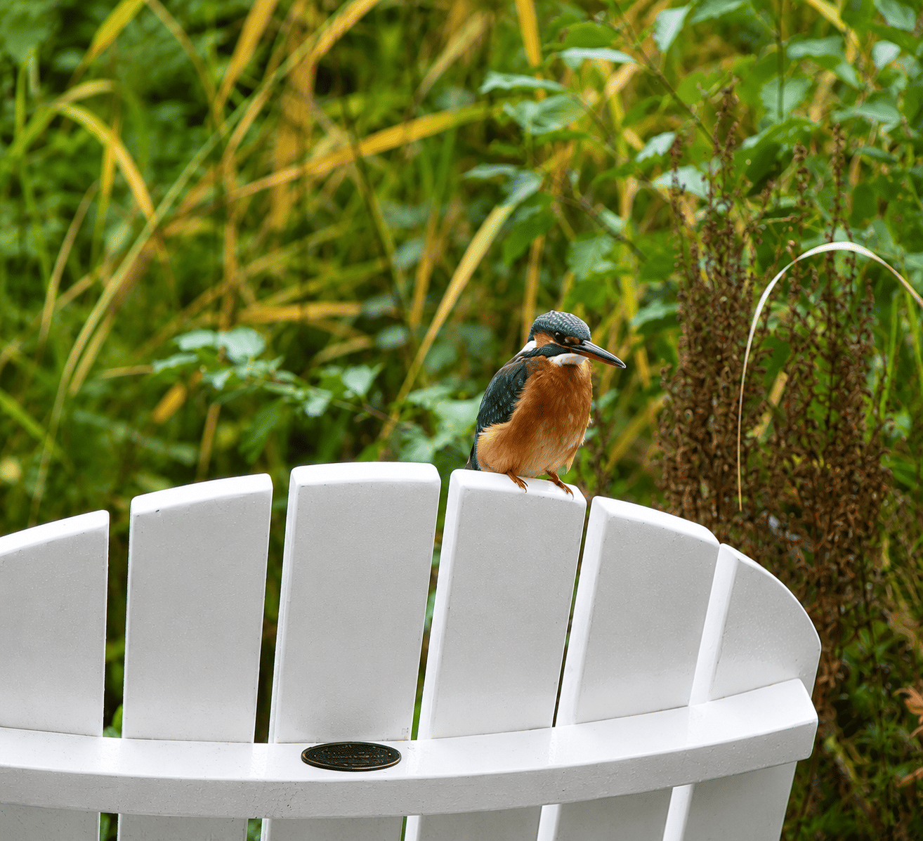 Wohnen wie im Urlaub - Exklusives Refugium im skandinavischen Landhausstil mit einzigartiger Garten- und Wasserlandschaft – Neustadt am Rübenberge – Vorschaubild 9