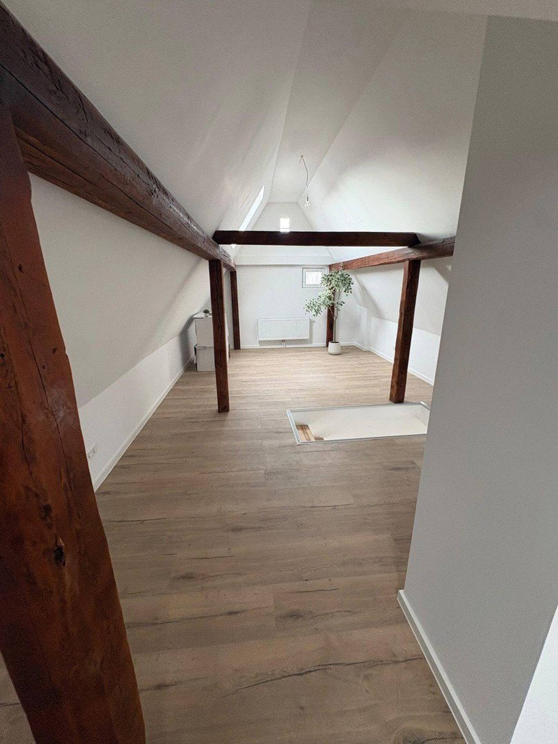 Haus in 76756 Bellheim mit 141 m² kaufen