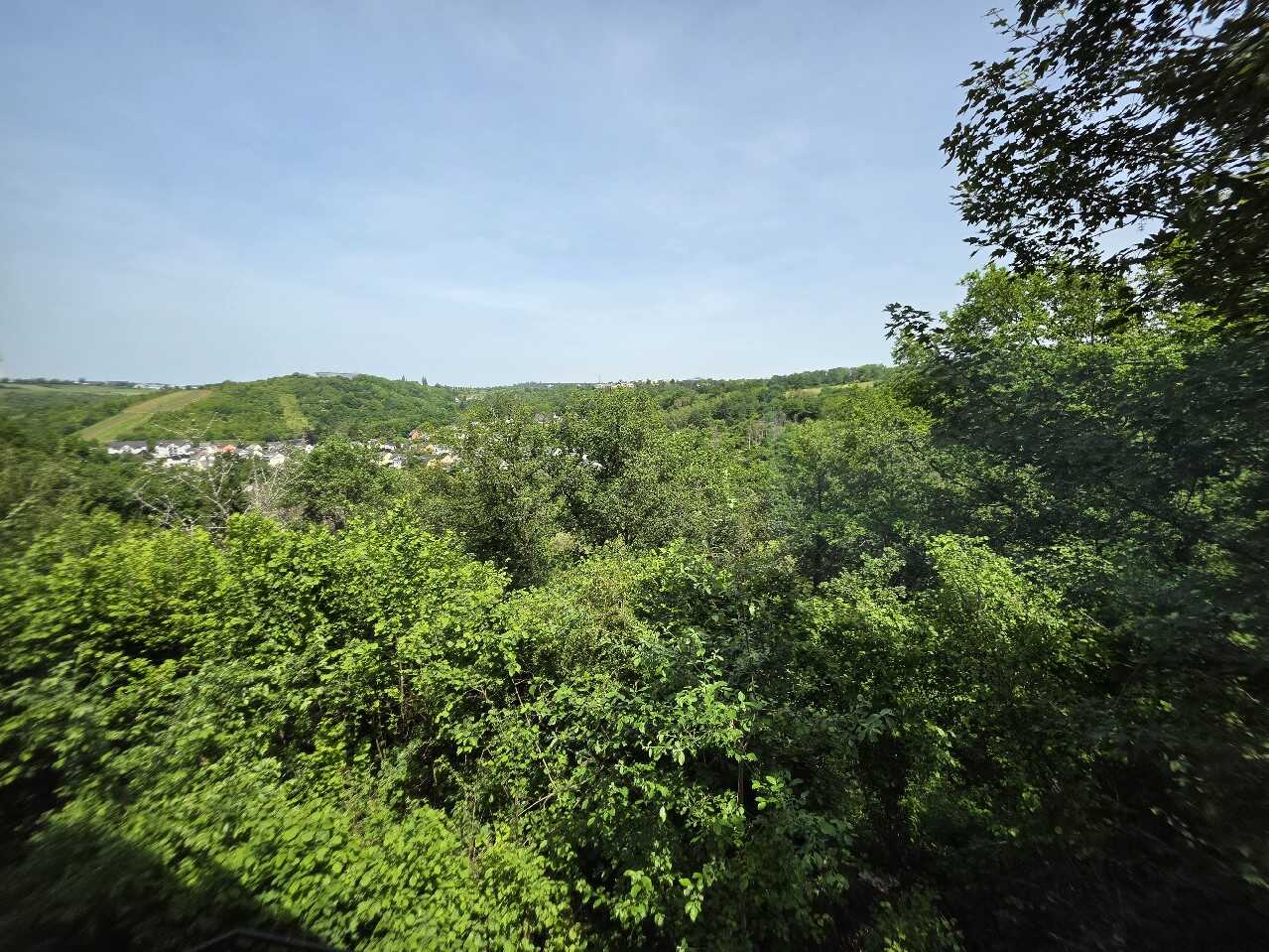 Charmante 3-Zimmer-Wohnung mit großer Terrasse, Kamin und Garage in Trier-Kernscheid – Trier – Vorschaubild 6