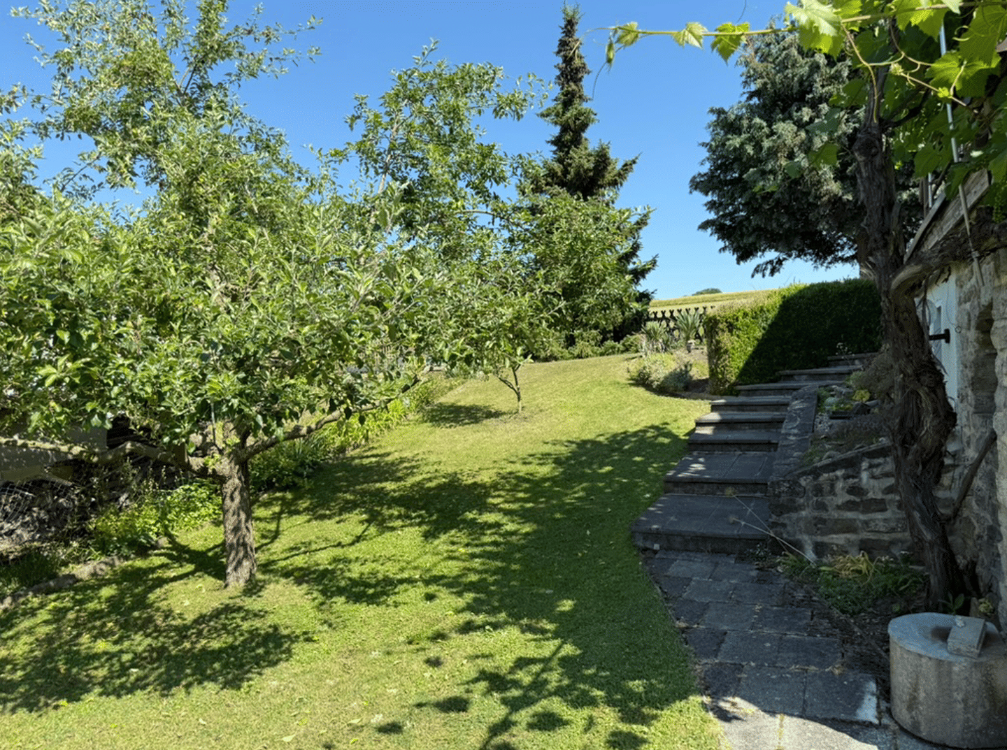Traumlage - modernisierter Wochenendbungalow mit großem Grundstück – Ballstädt – Vorschaubild 6