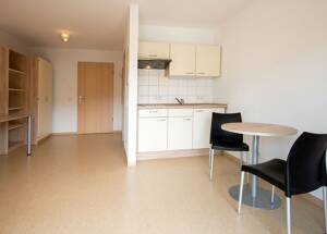 Gemütliche 1-Zimmer-Wohnung in Dresden-Neustadt | Wentzel Dr. – 1099 Dresden – Vorschaubild 3