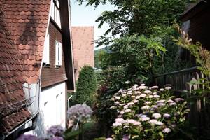 Traditionelle Heidelberger Villa, modern saniert – 69117 Heidelberg – Vorschaubild 8
