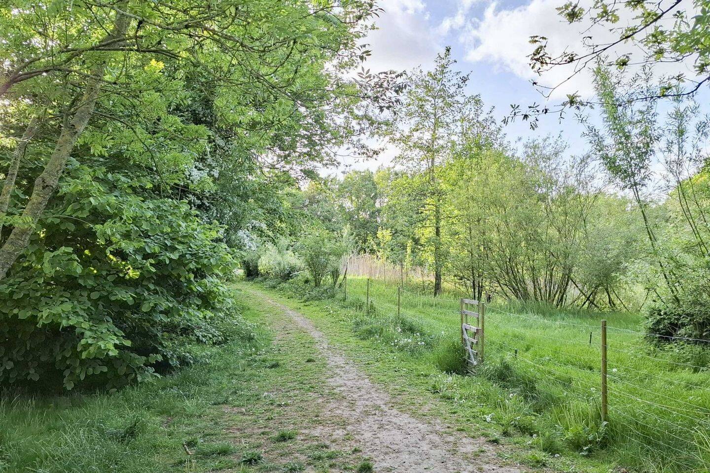 Viel Platz für Tiere, Mitmenschen, Herzensprojekte - raus in die Natur! – Neukirchen – Vorschaubild 7