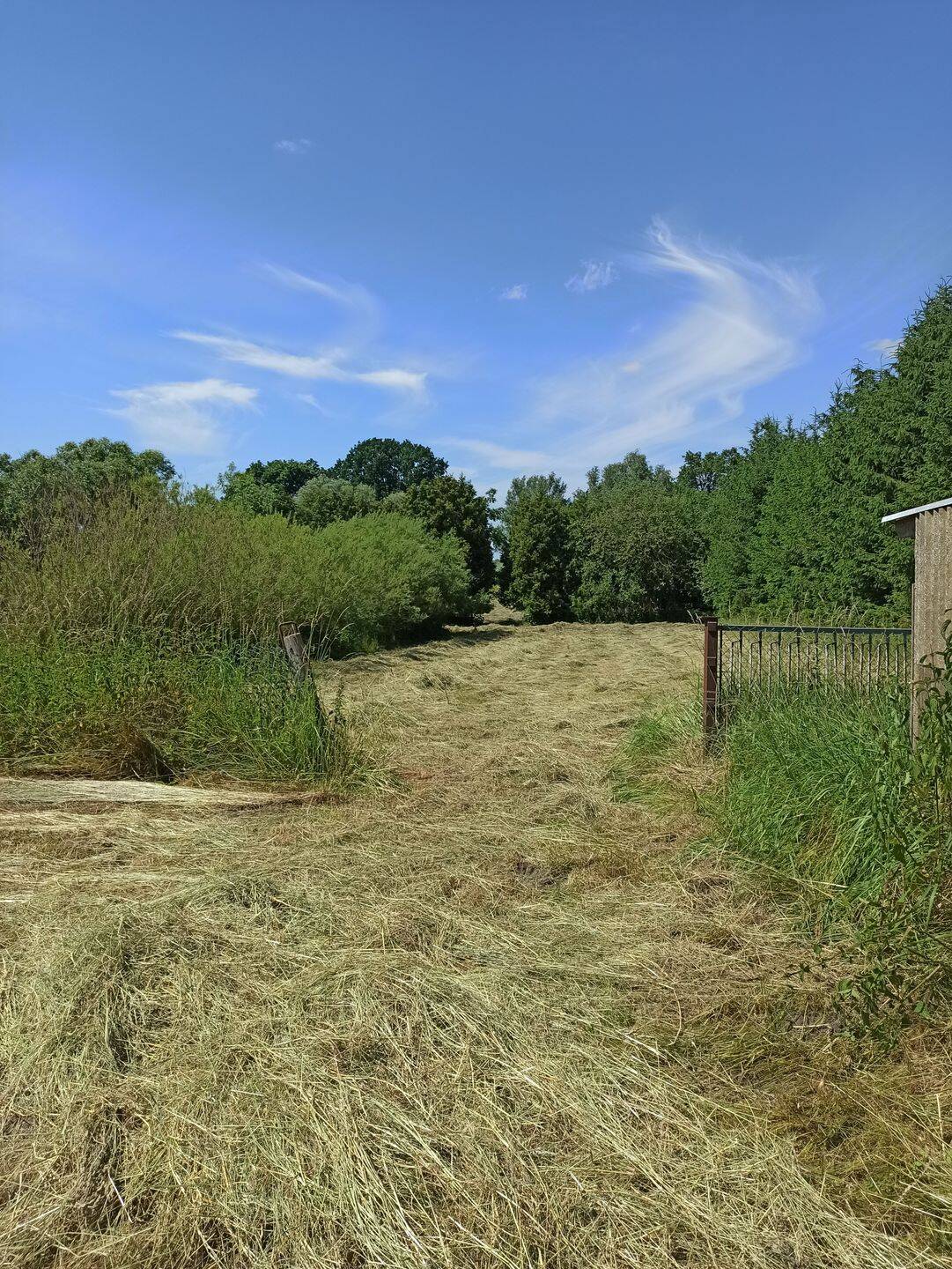 EINFAMILIENHAUS AUF GROSSEM GRUNDSTÜCK IN HOPPENRADE – Löwenberger Land – Vorschaubild 8