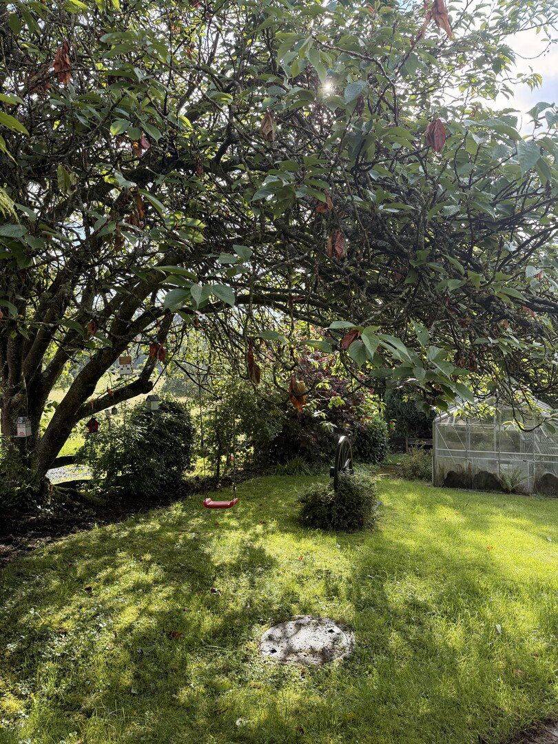 Gepflegtes Einfamilienhaus mit EBK, Balkon, schön angelegtem Garten und Aussicht – Waldbröl – Vorschaubild 7