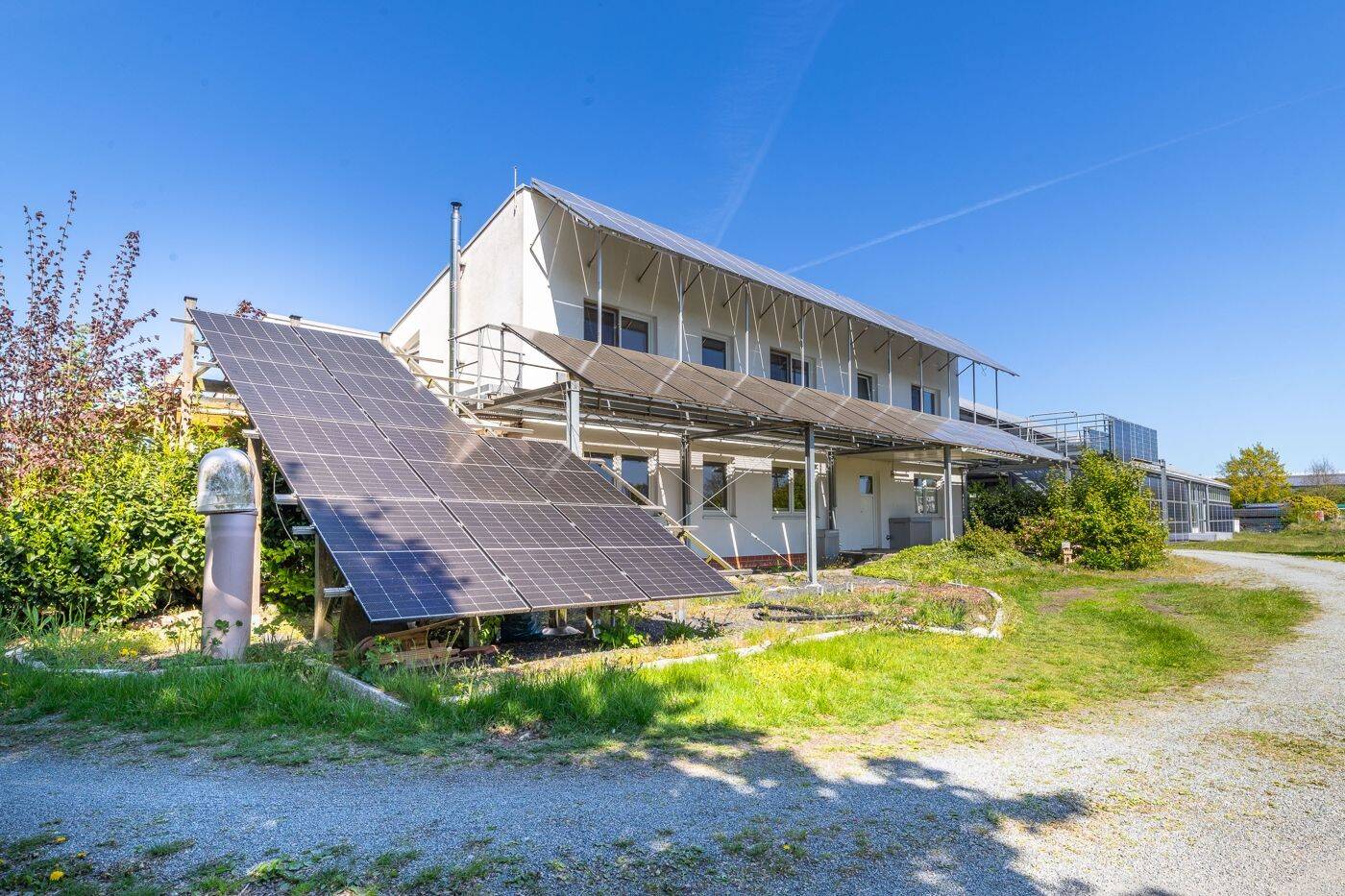 Modernes Wohn- & Gewerbeanwesen mit Hallen, Büroflächen und PV-Erträgen in ruhiger Lage von Sulingen – Sulingen – Vorschaubild 9