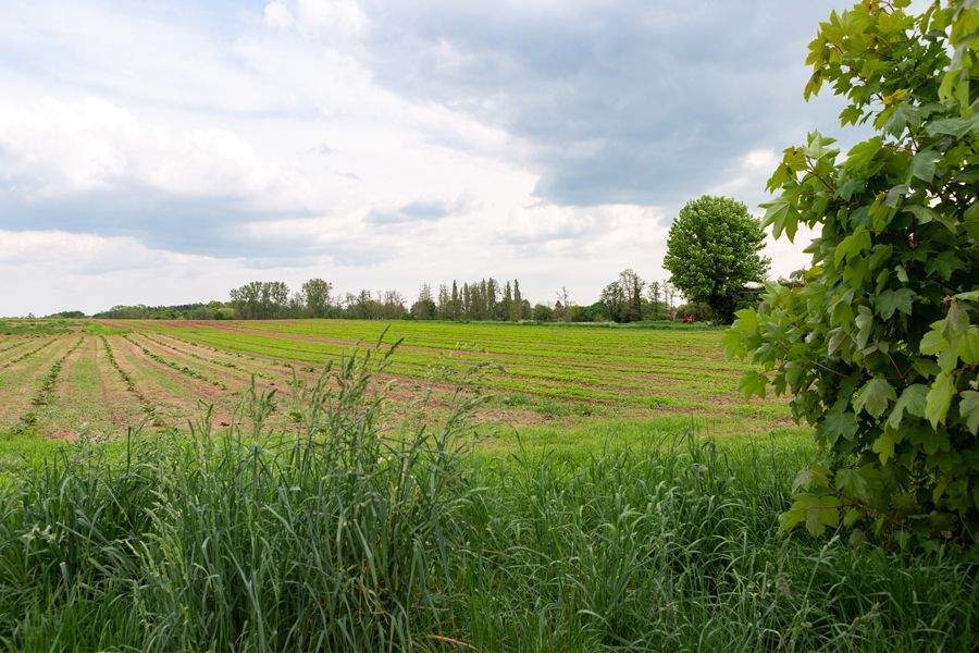 Felder statt Blechlawinen und dennoch schnell in der Stadt