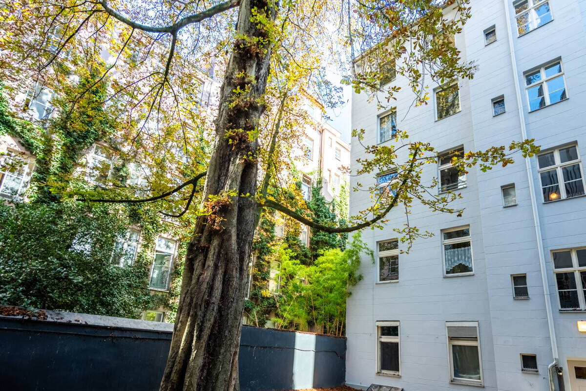 Vermietete Kapitalanlage-Wohnung mit effizientem Grundriss nahe Schloss Charlottenburg – Berlin – Vorschaubild 6