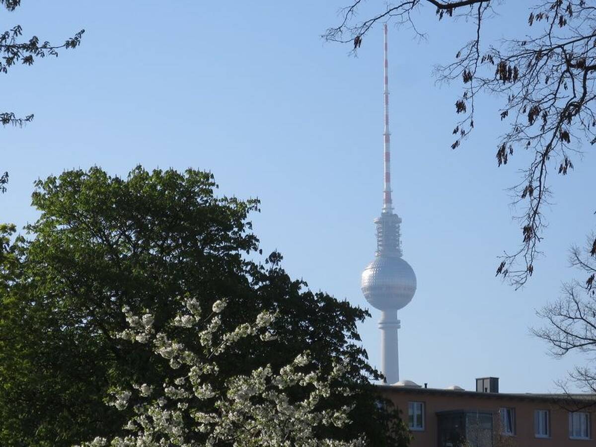 Provisionsfrei* Sunny 3-room-Apartment Prenzlauer Berg-refurbished&vacant-nearby S-Bahn-Ring - no commission – 10407 Berlin – Bild 1 von 9