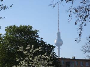 Provisionsfrei* Sunny 3-room-Apartment Prenzlauer Berg-refurbished&vacant-nearby S-Bahn-Ring - no commission – 10407 Berlin – Vorschaubild 1