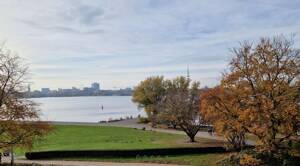 Living, Freelance, Seaview & Hamburg!
