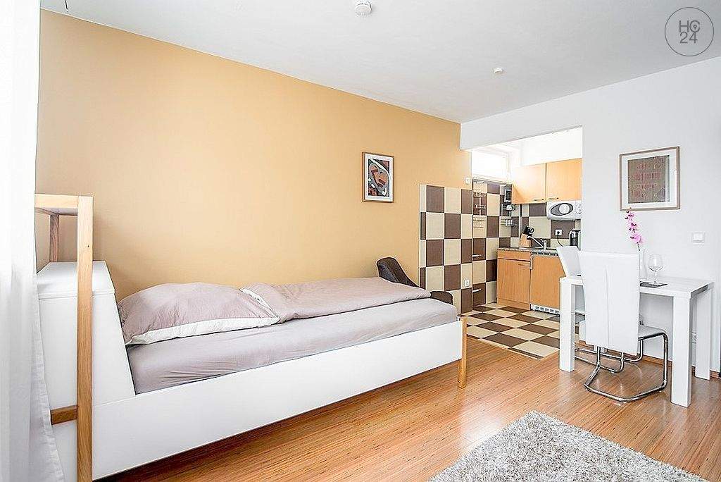 Schönes und modern möbliertes Apartment mit Balkon und WLAN nahe Nürnberg Hauptbahnhof