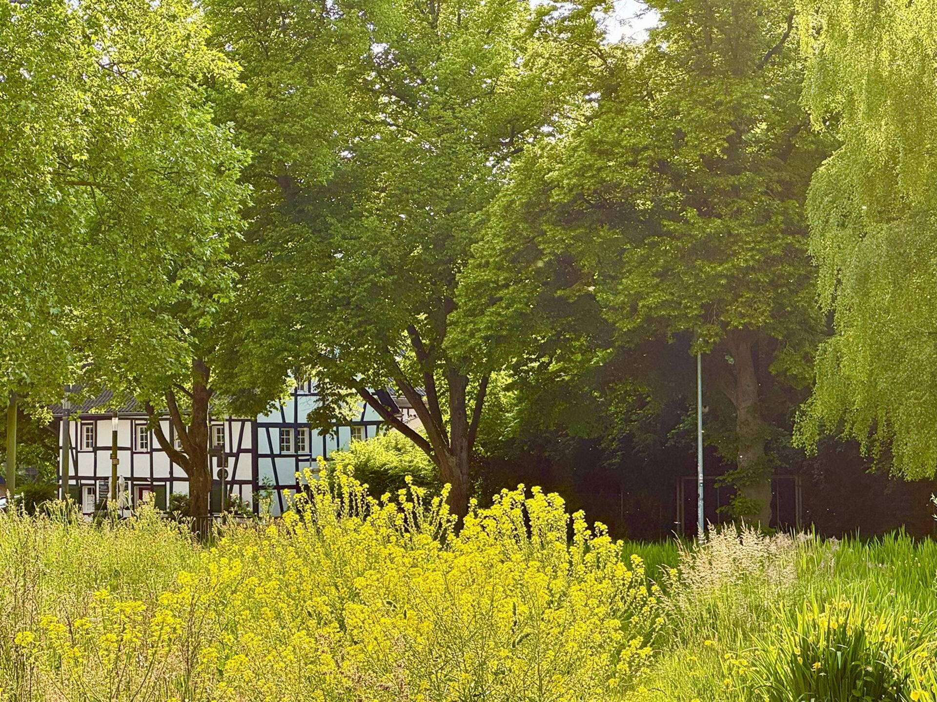 Haus in 51465 Bergisch Gladbach kaufen