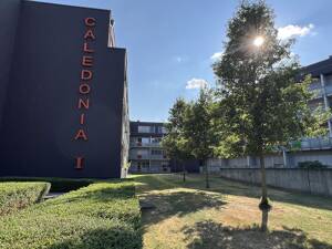 Gemütliche 1-Zimmer-Wohnung zur Miete in Münster | Wentzel Dr.