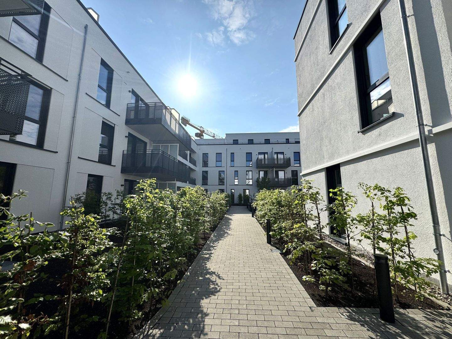 Attraktive Kapitalanlage! Neubau-Apartment - stilvoll und zukunftssicher – Bonn – Vorschaubild 7