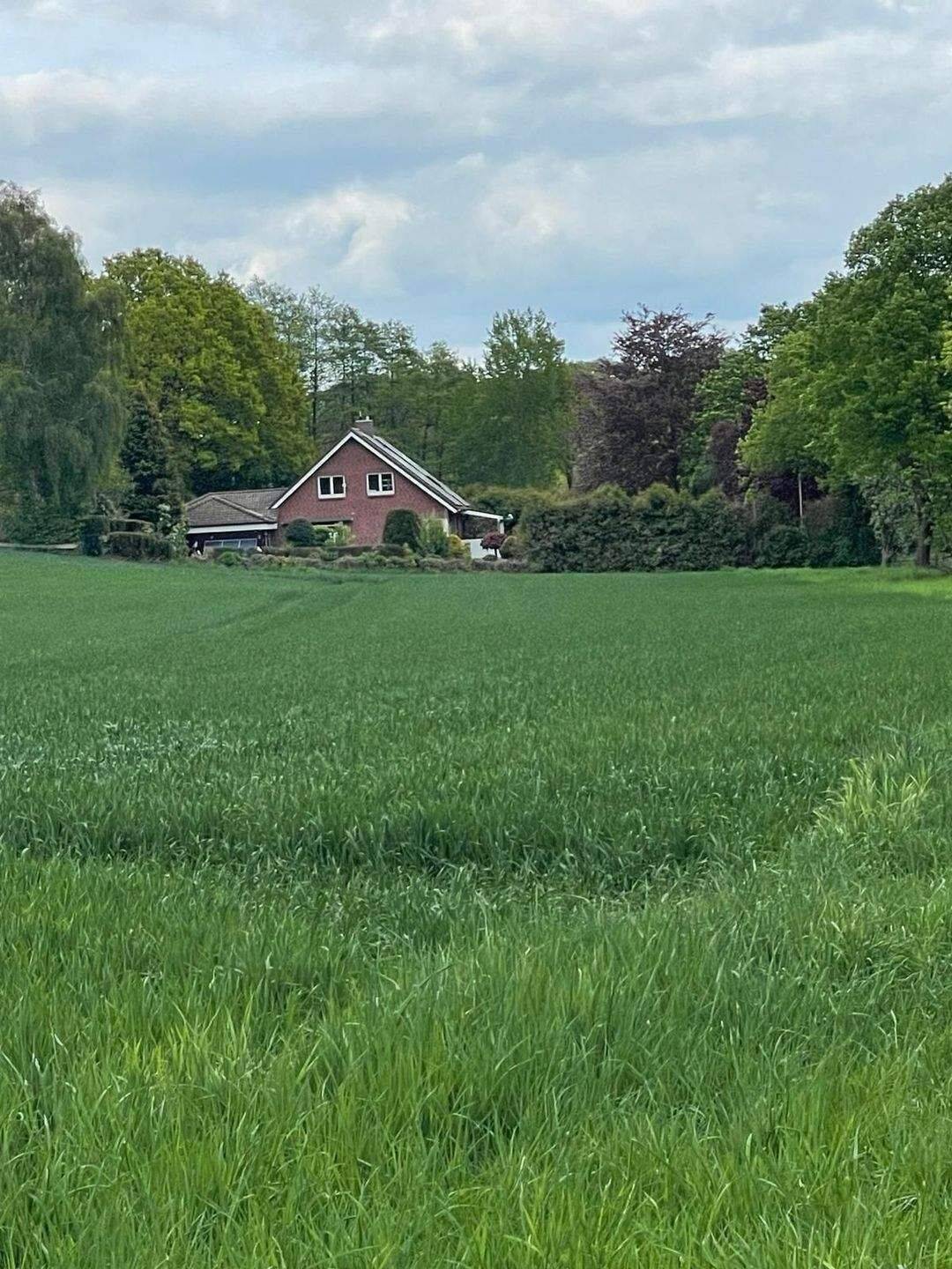 COURTAGEFREI - exklusives Traumhaus - mit fantastischem Weitblick - Wärmepumpen/Photovoltaik mit Rückvergütung – Gülzow – Vorschaubild 3