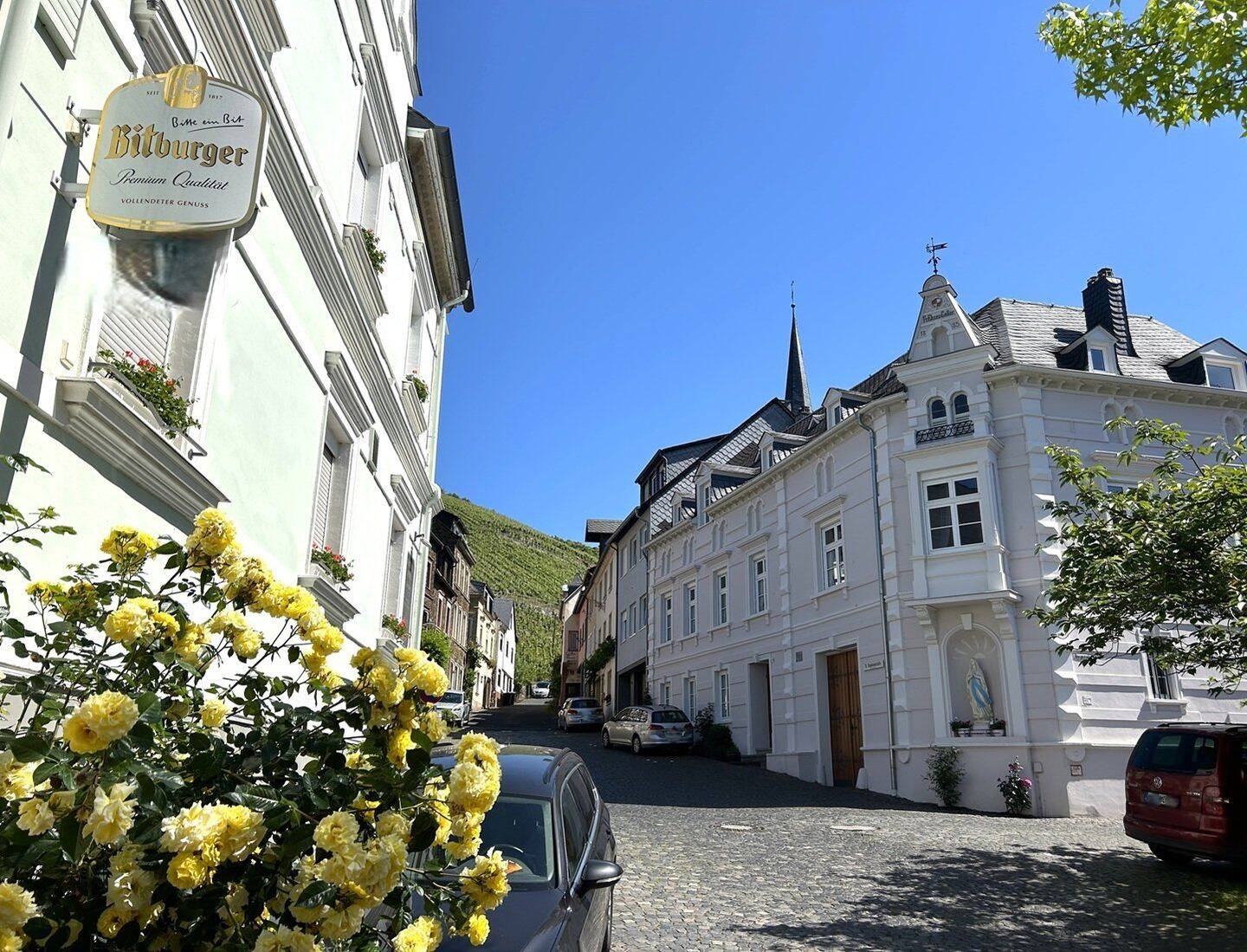 Zwei Wohnhäuser in Zeltigen an der Mosel (hochwasserfrei) mit 233 qm Wohnfläche – Zeltingen-Rachtig – Vorschaubild 9