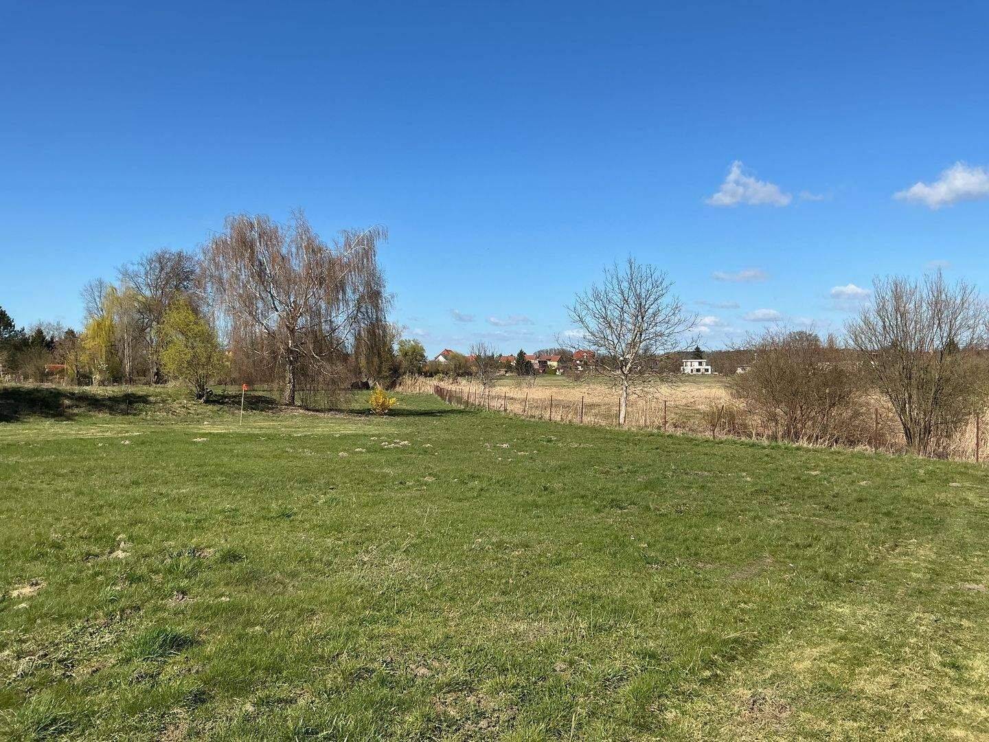 Eine Seltenheit - 10.000 qm plus Privatstraße in Glindow/Werder (Havel) – Werder (Havel) – Vorschaubild 4