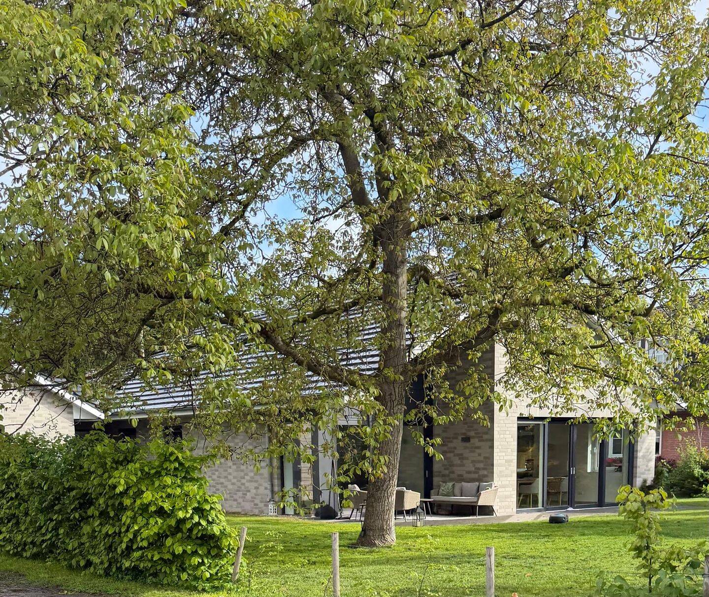 Vermieteter 3-Zimmer-Bungalow (Neubau 2022) barrierefrei mit Garage und schönem Garten – Hamburg – Vorschaubild 2