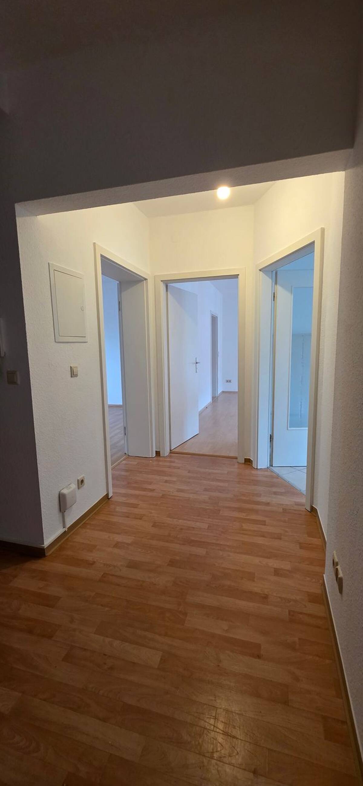 Ab sofort verfügbar! Gepflegte 3-Raum-Etagenwohnung mit Balkon im Görlitzer Stadtzentrum! – 2826 Görlitz – Bild 1 von 8