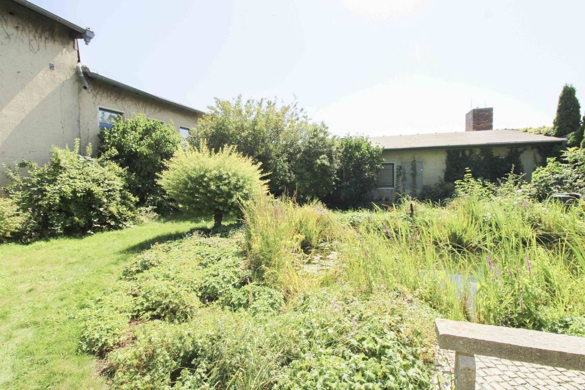 Haus in 06888 Lutherstadt Wittenberg mit 360 m² kaufen
