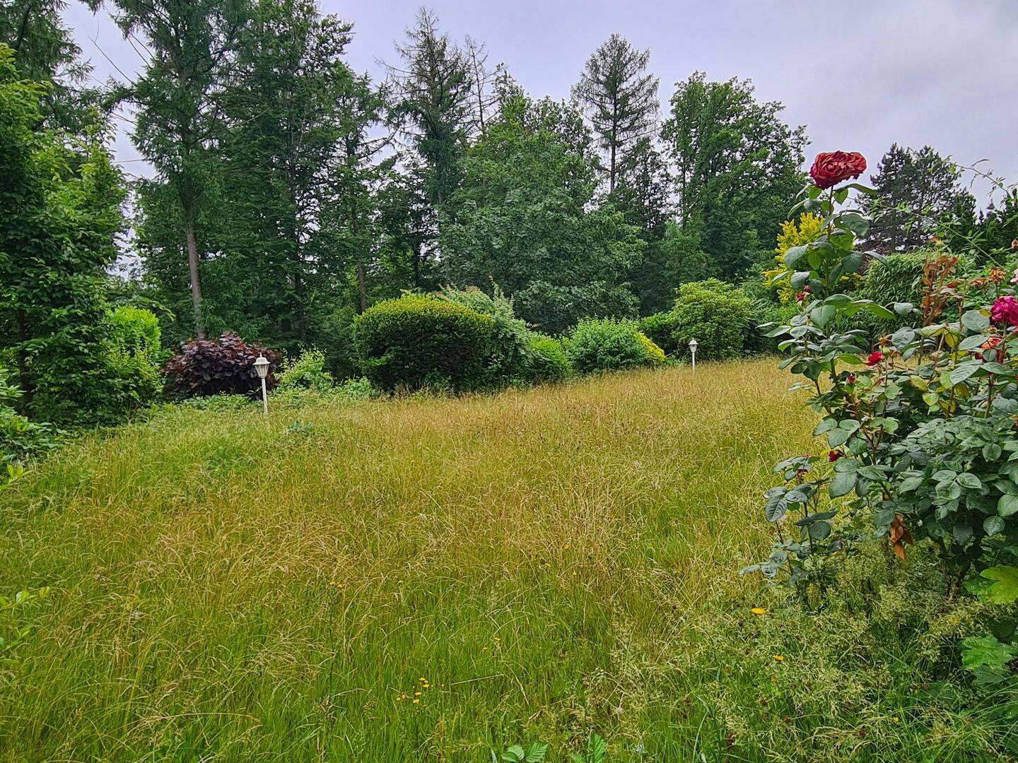 Traumbungalow in weiß am Rande des Pfälzer Waldes – Pirmasens – Vorschaubild 4