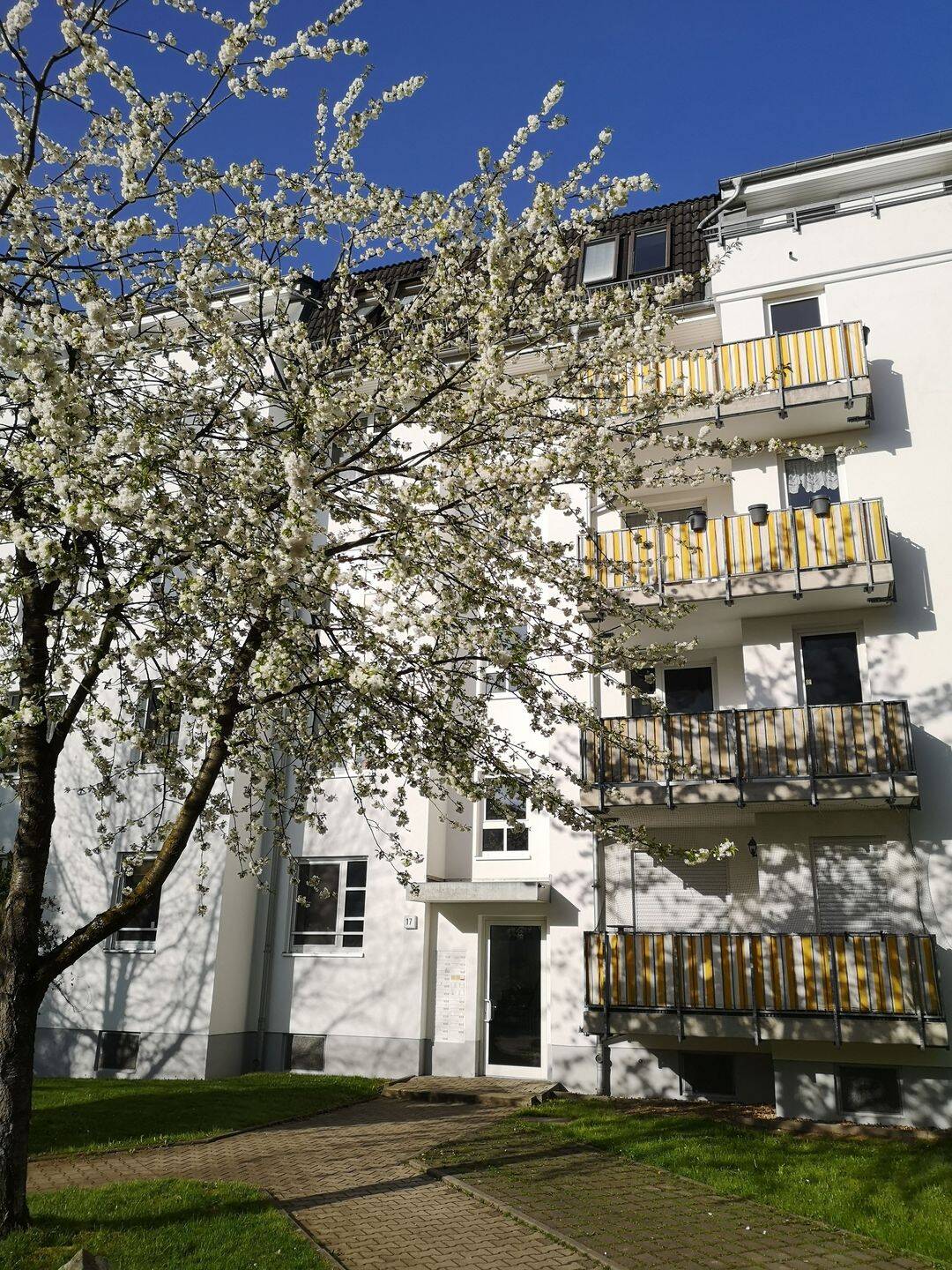 Sonnige Zweiraumwohnung im grünen Schloßchemnitz – Tannenstraße 17, 9113 Chemnitz – Bild 1 von 7