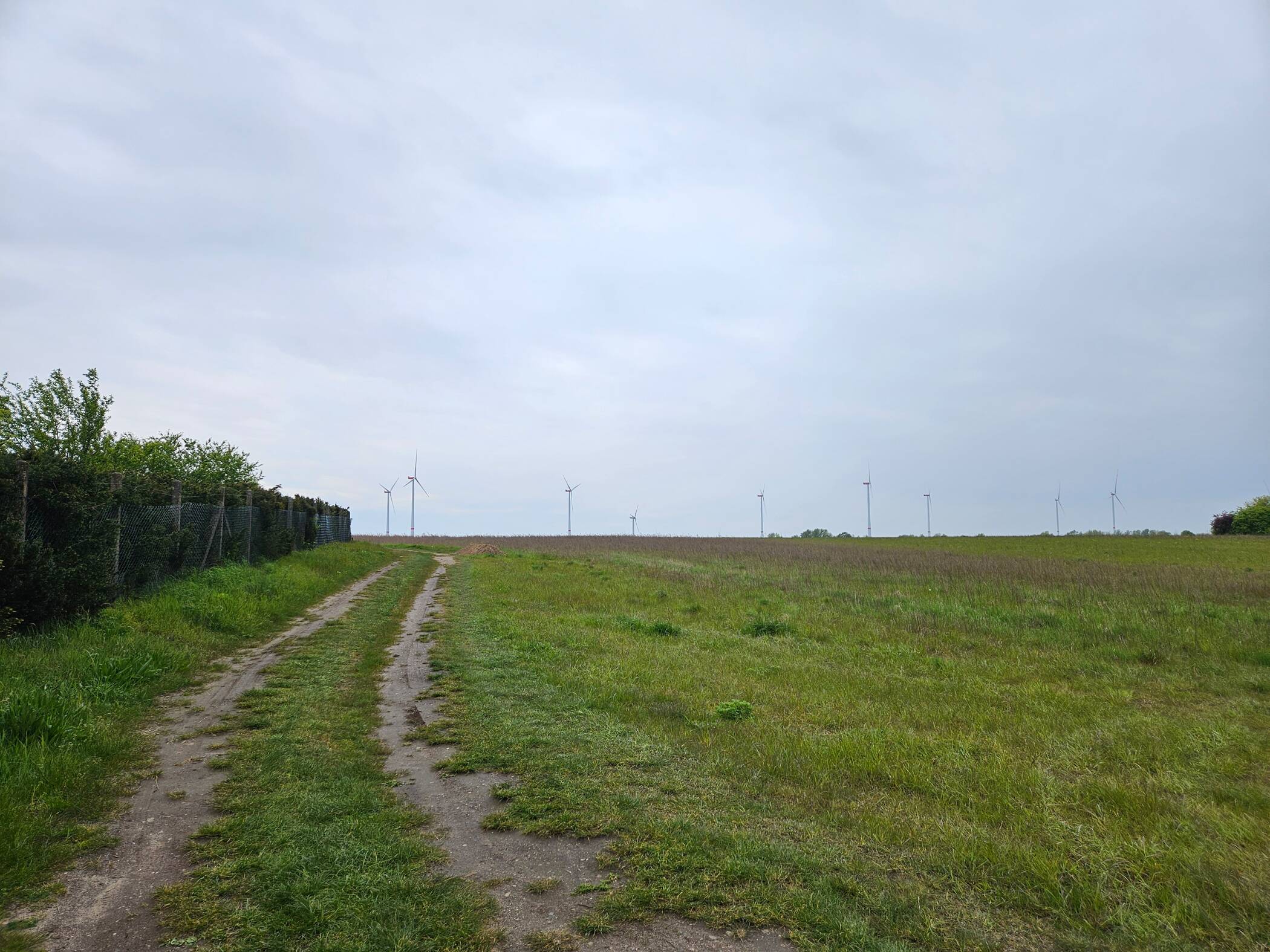 Familienleben auf einer Ebene im kommenden Baugeb. in Uetze. – Uetze – Vorschaubild 2