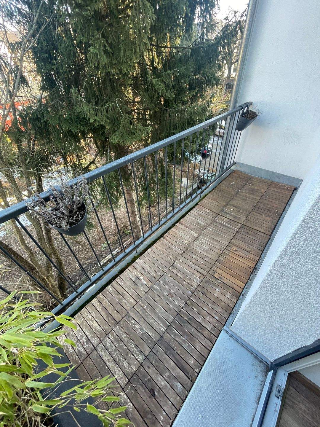 * Lützowstr. 37* – Chemnitz – Vorschaubild 4