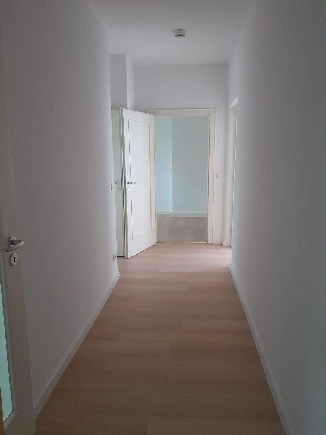 Wie wär's damit? Attraktive Zwei-Zimmer-Wohnung – Chemnitz – Vorschaubild 2