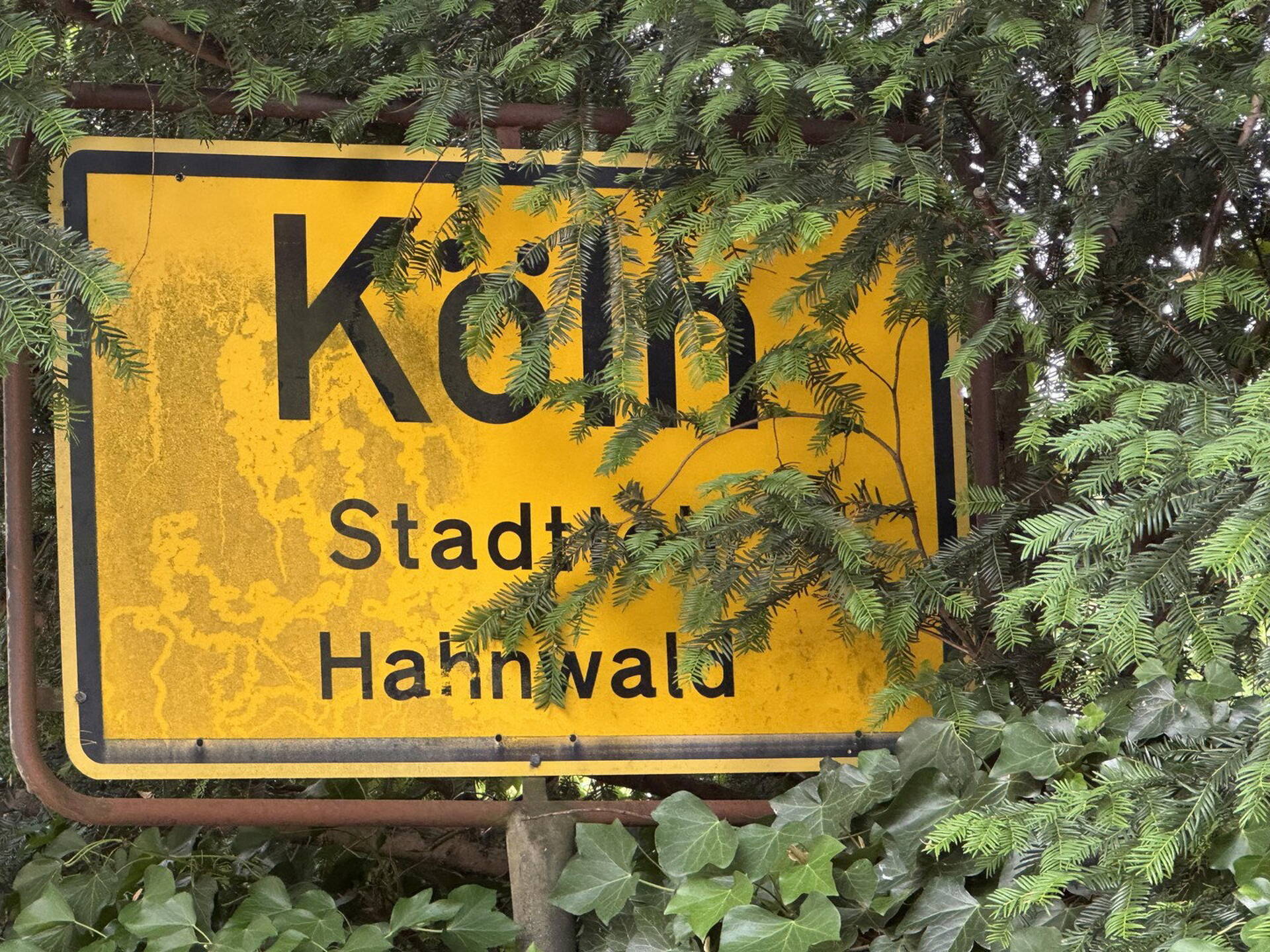 Villa in 50996 Köln mit 400 m² kaufen
