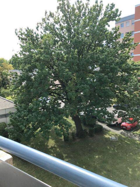 Modernes Wohnen! 4-Zimmer ETW in ruhiger Lage – Nürnberg – Vorschaubild 7