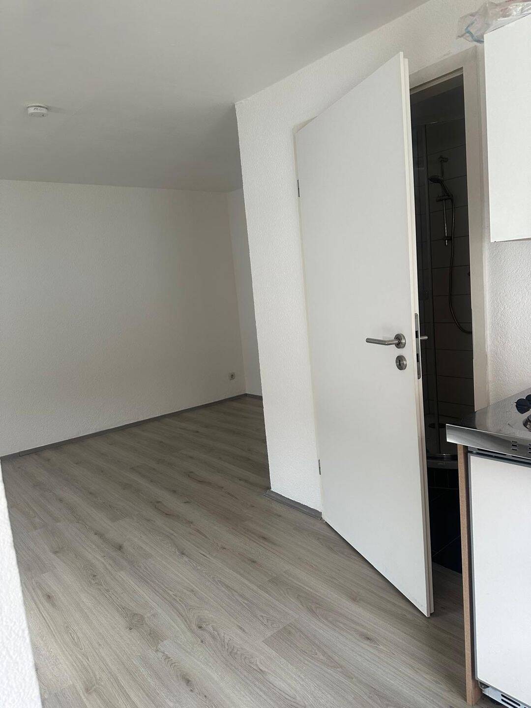 lichtdurchflutetes 1-Zimmerapartment mit EBK und grauen Laminat – Erfurt – Vorschaubild 5