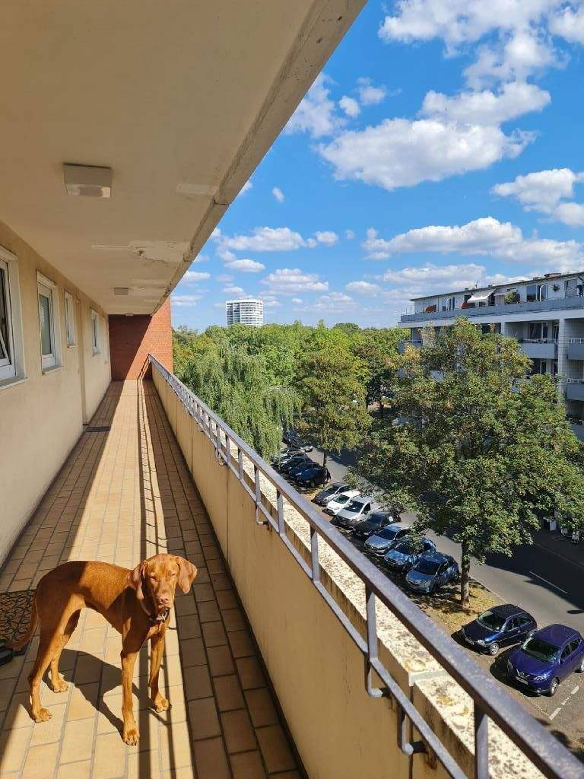 Etagenwohnung in 51065 Köln mit 75 m² kaufen