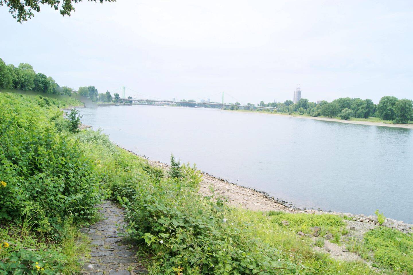 Mit dem Rhein direkt vor der Haustür!